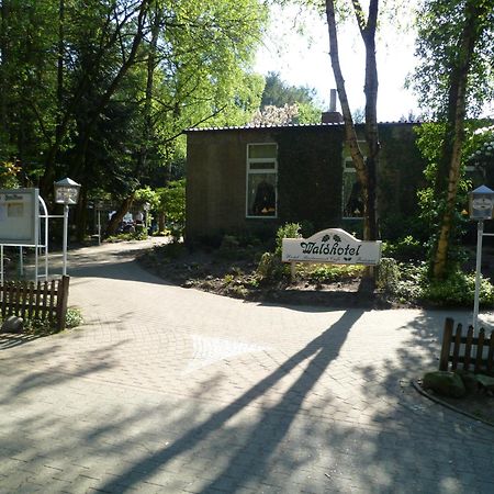 Waldhotel Surwold エクステリア 写真