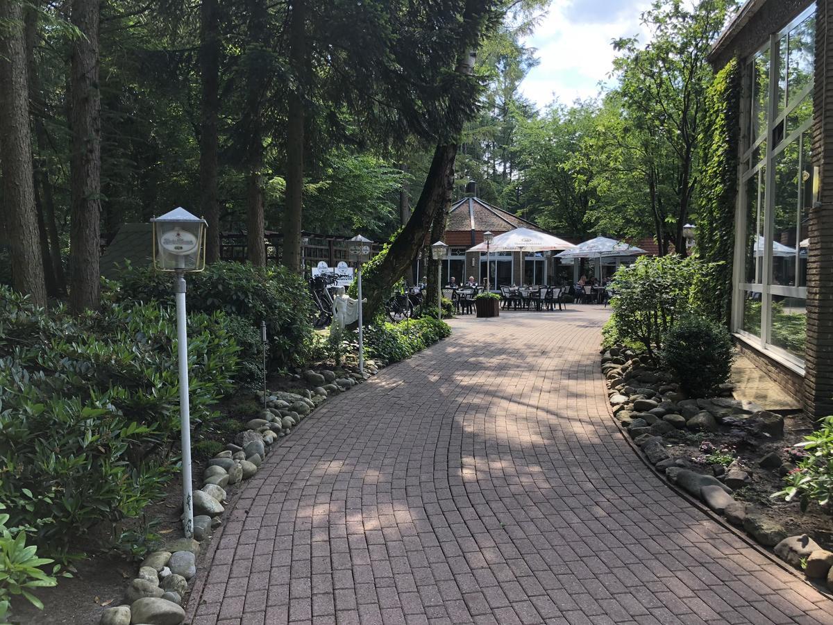 Waldhotel Surwold エクステリア 写真