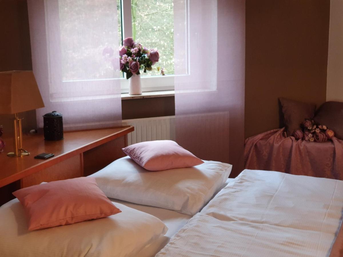 Waldhotel Surwold エクステリア 写真